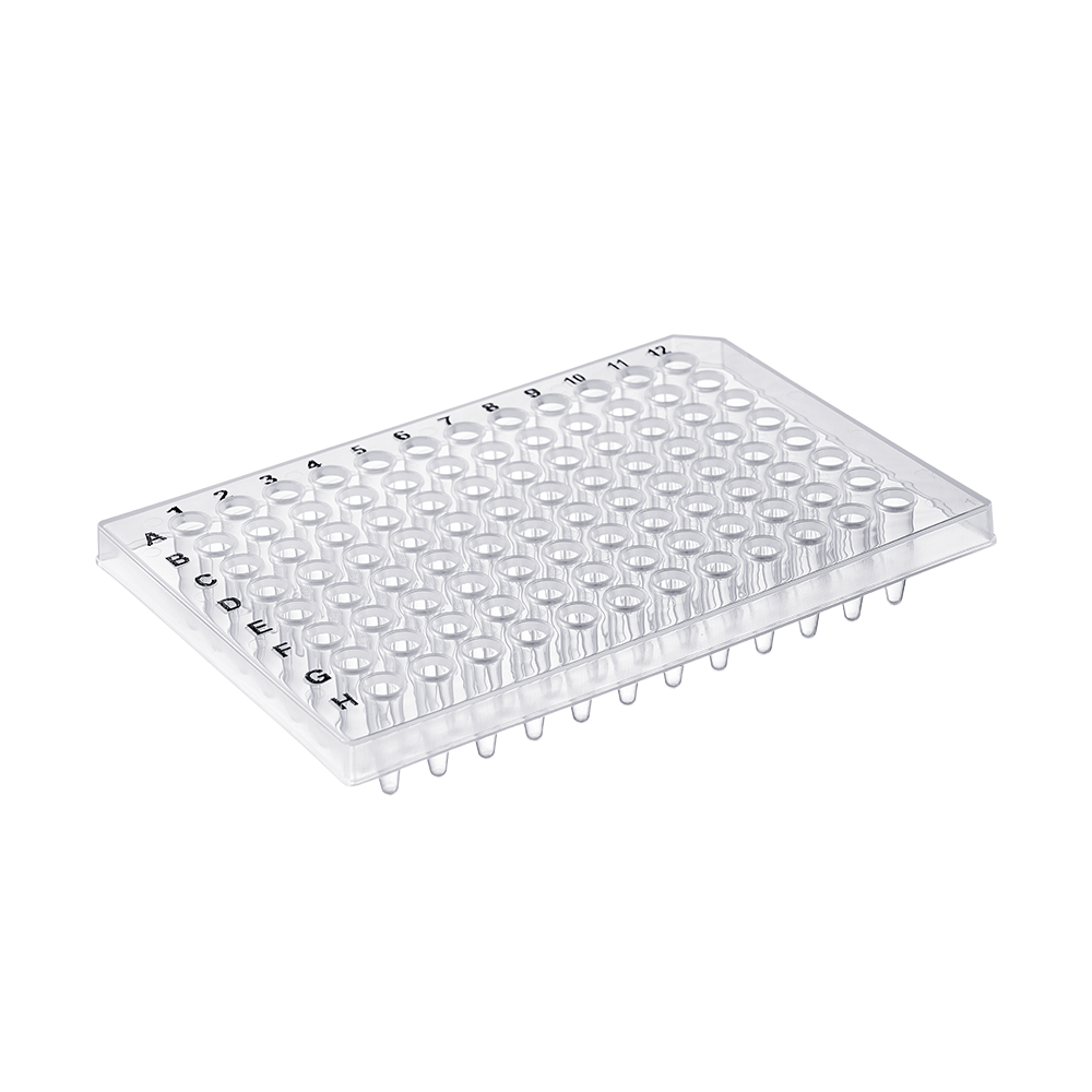 Ống - đĩa PCR