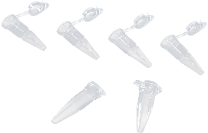 Ống - đĩa PCR - Ảnh 2