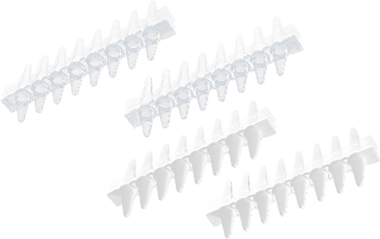Ống - đĩa PCR - Ảnh 4