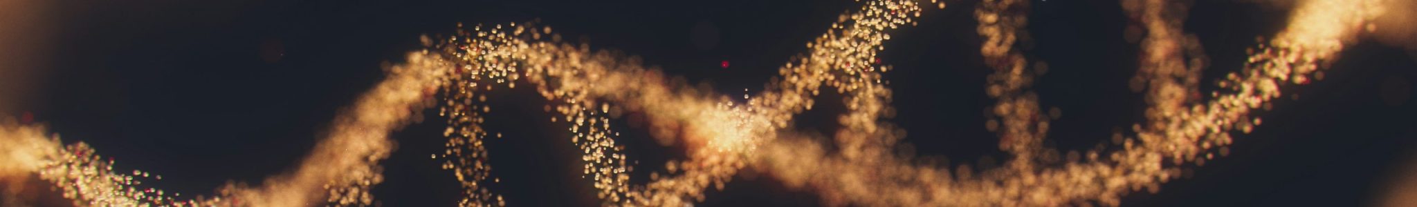 anirudh-YQYacLW8o2U-unsplash